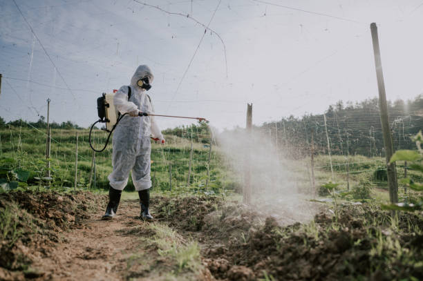 Best Commercial Pest Control Services  in Crozet, VA