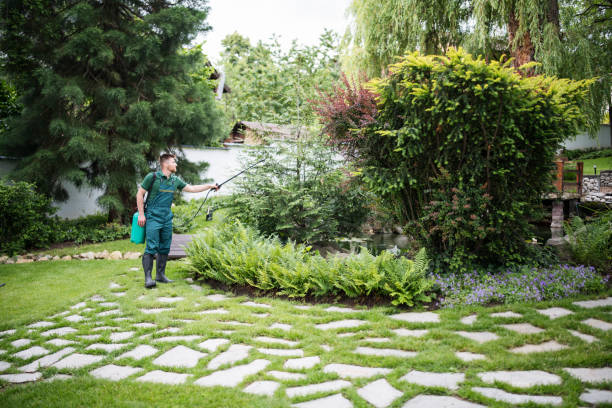 Best Wasp Removal Services  in Crozet, VA