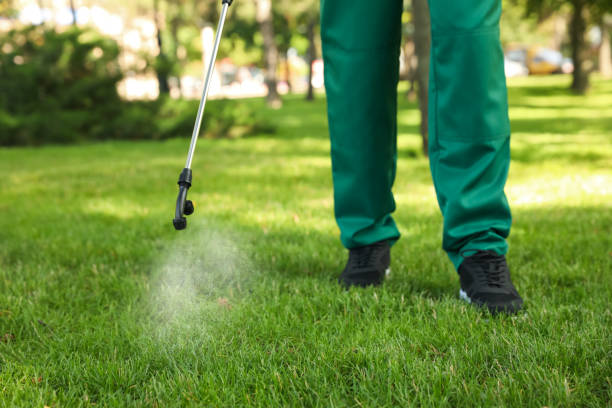 Best Pest Prevention Services  in Crozet, VA