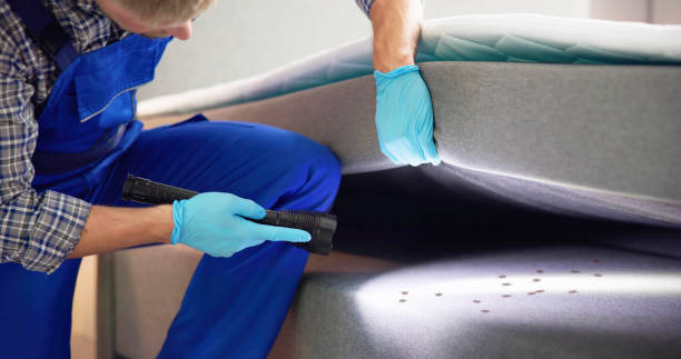Best Pest Removal Services  in Crozet, VA