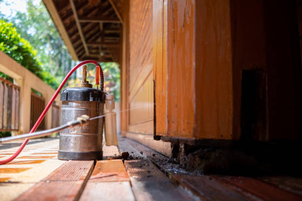 Best Termite Control Services  in Crozet, VA