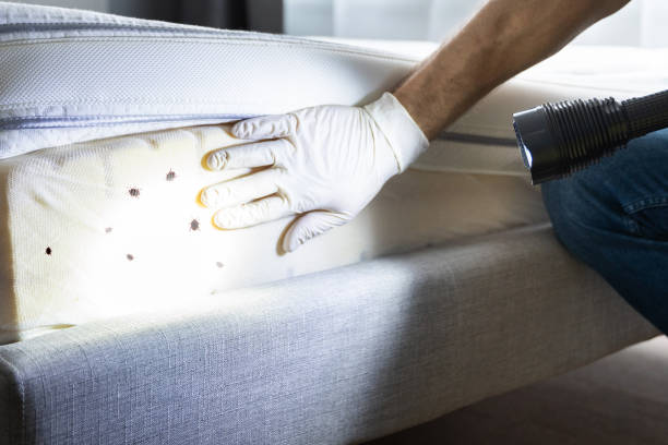  Crozet, VA Pest Control Pros