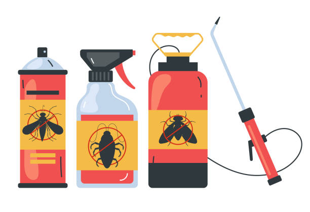 Best Spider Control Near Me  in Crozet, VA