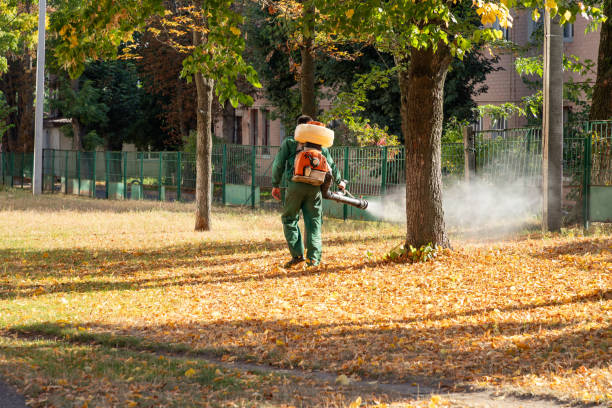 Best Best Pest Control Companies  in Crozet, VA