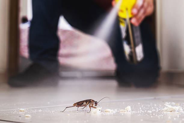 Best Ant Control Services  in Crozet, VA