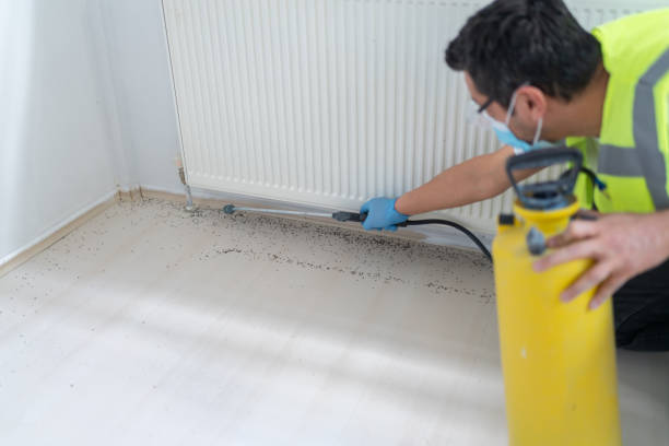Best Mosquito Control Services  in Crozet, VA