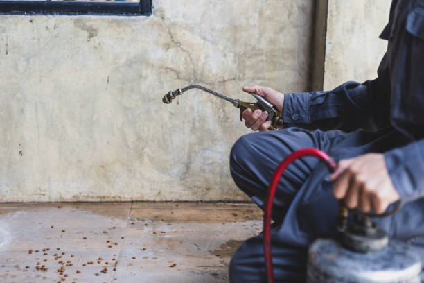 Professional Pest Control in Crozet, VA